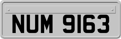 NUM9163