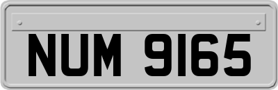 NUM9165