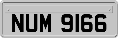 NUM9166