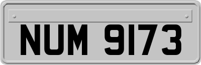 NUM9173