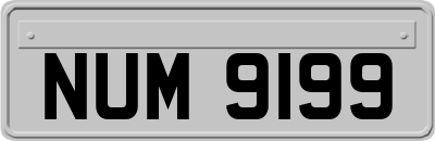 NUM9199