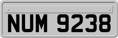 NUM9238
