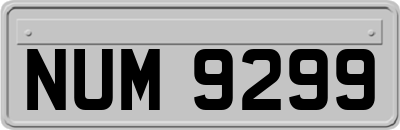 NUM9299