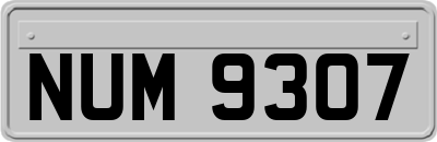 NUM9307