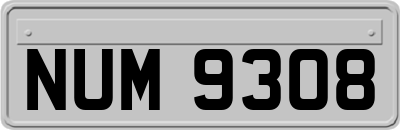 NUM9308