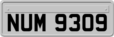 NUM9309