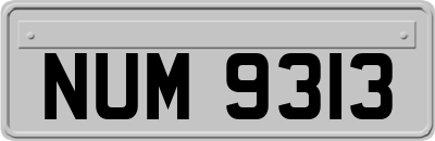 NUM9313