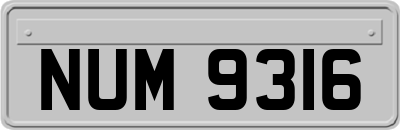 NUM9316