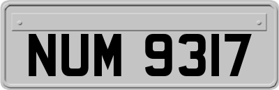 NUM9317