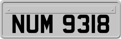 NUM9318