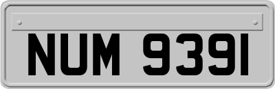 NUM9391