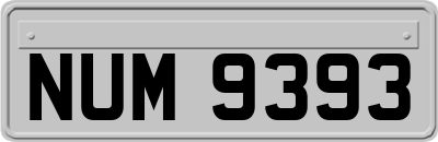 NUM9393