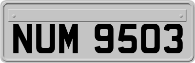 NUM9503