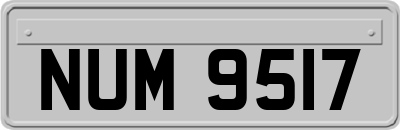 NUM9517