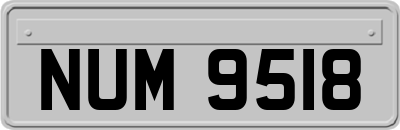 NUM9518