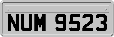 NUM9523