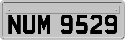 NUM9529