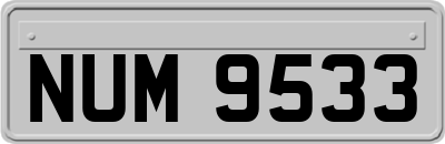 NUM9533