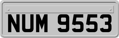 NUM9553