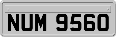 NUM9560