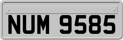 NUM9585