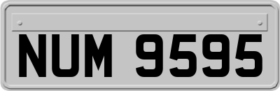 NUM9595