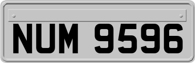 NUM9596