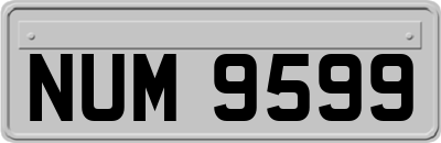 NUM9599