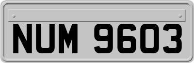NUM9603