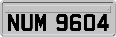 NUM9604