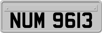 NUM9613