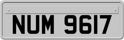 NUM9617