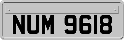NUM9618