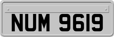 NUM9619