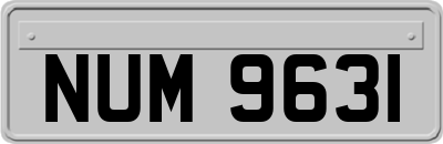 NUM9631