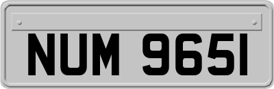 NUM9651