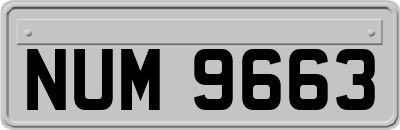 NUM9663