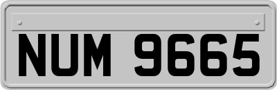 NUM9665
