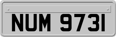 NUM9731