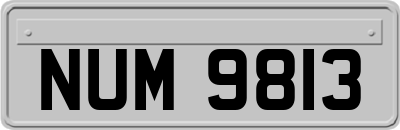 NUM9813