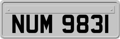 NUM9831