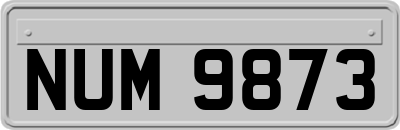 NUM9873