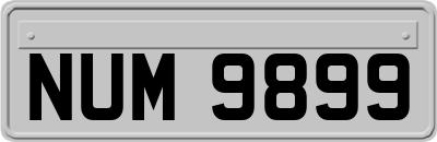 NUM9899