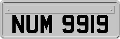 NUM9919