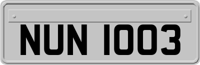 NUN1003