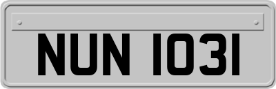 NUN1031