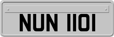 NUN1101