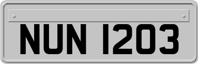 NUN1203