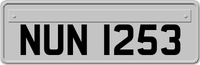 NUN1253