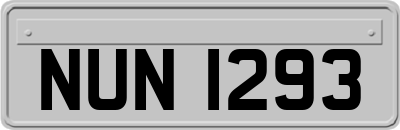 NUN1293
